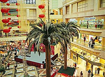  饿了么2020年度账单来袭：回顾一年消费足迹，揭秘你的外卖人生